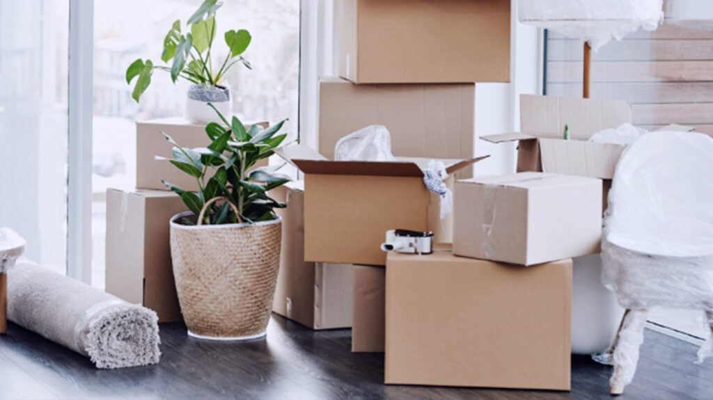 Living room filled with moving boxes and household items ready for transport